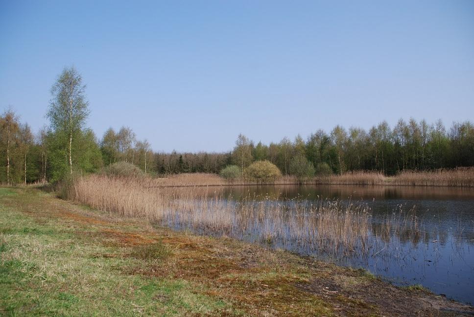 Vledderstee Apartment Vledderveen  Bagian luar foto